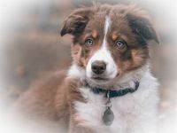 1381550_10151984691524345_587268323_n