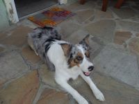 1291257_10201268126657294_1677958544_o