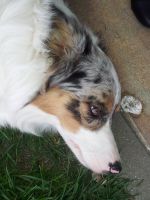 1899537_10201268137457564_1428986758_o