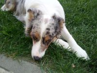 1912114_10201268113176957_2051380983_o